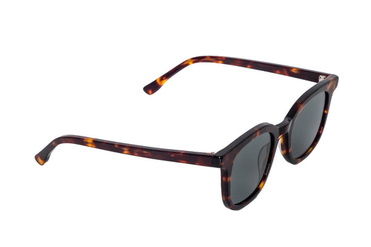GAFAS TOSCANO CAREY