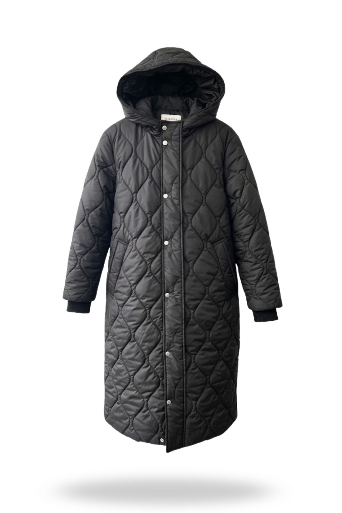 Puffer BENTLY
