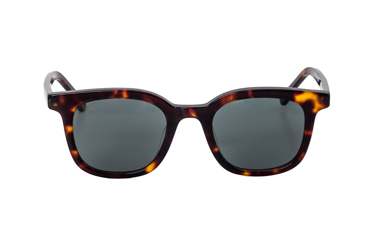GAFAS TOSCANO CAREY